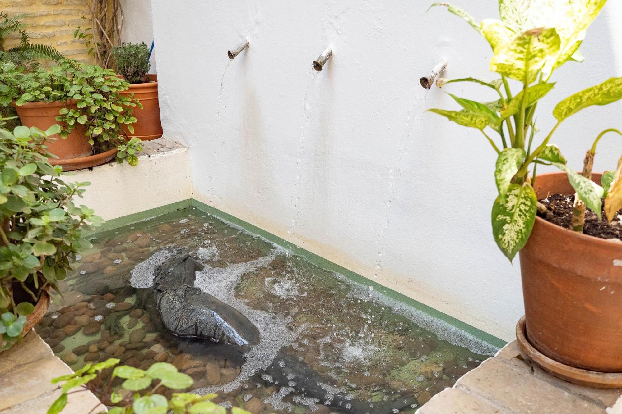 La Casa 1832 Boutique Bed & Breakfast Sanlucar de Barrameda Exterior photo